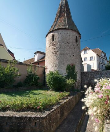 Visite guidée privée Ribeauvillé