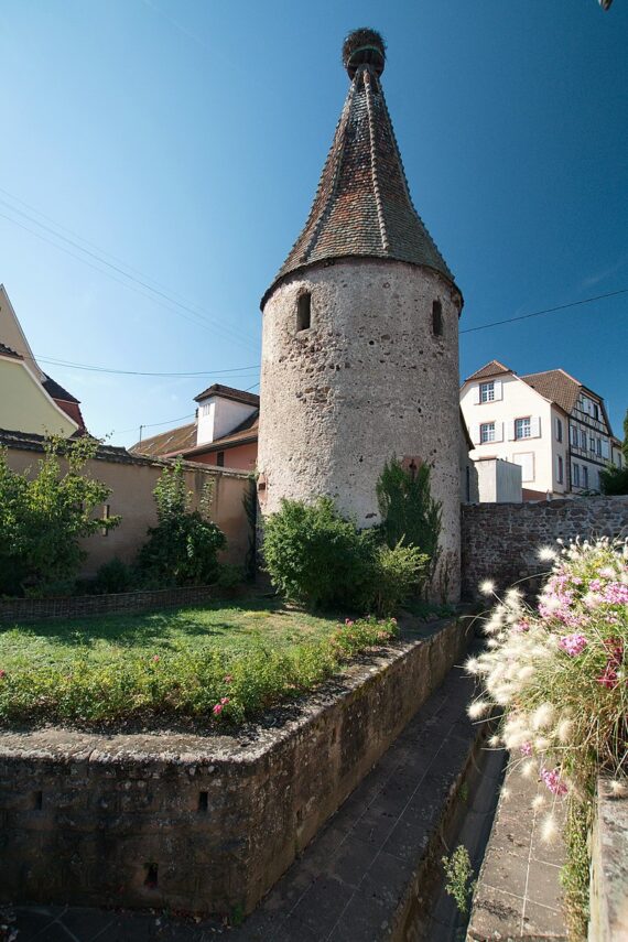 Visite guidée privée Ribeauvillé