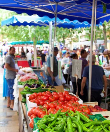 Visite guidée privée Toulon