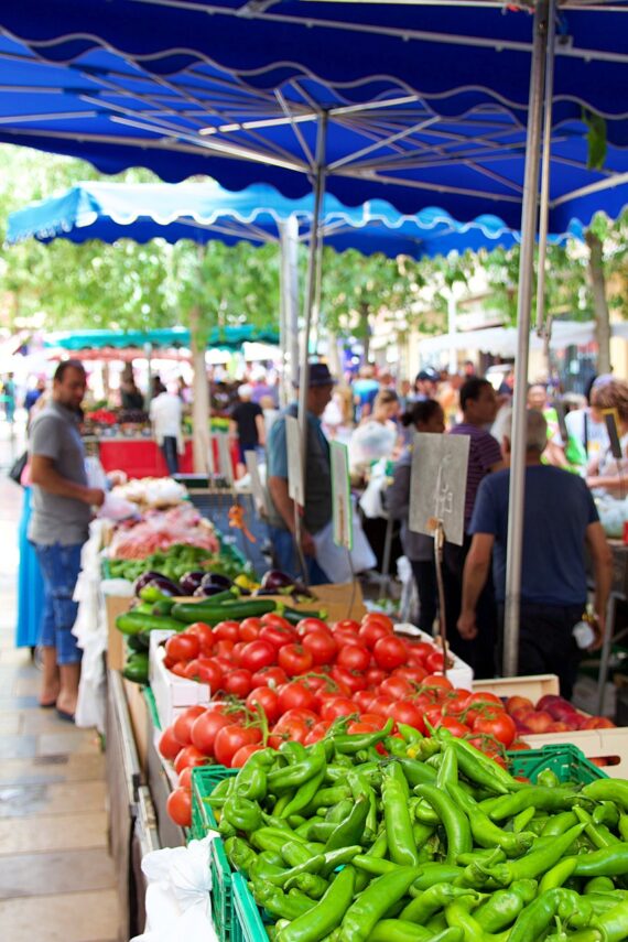 Visite guidée privée Toulon