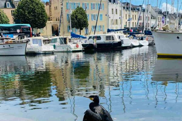 que faire a vannes